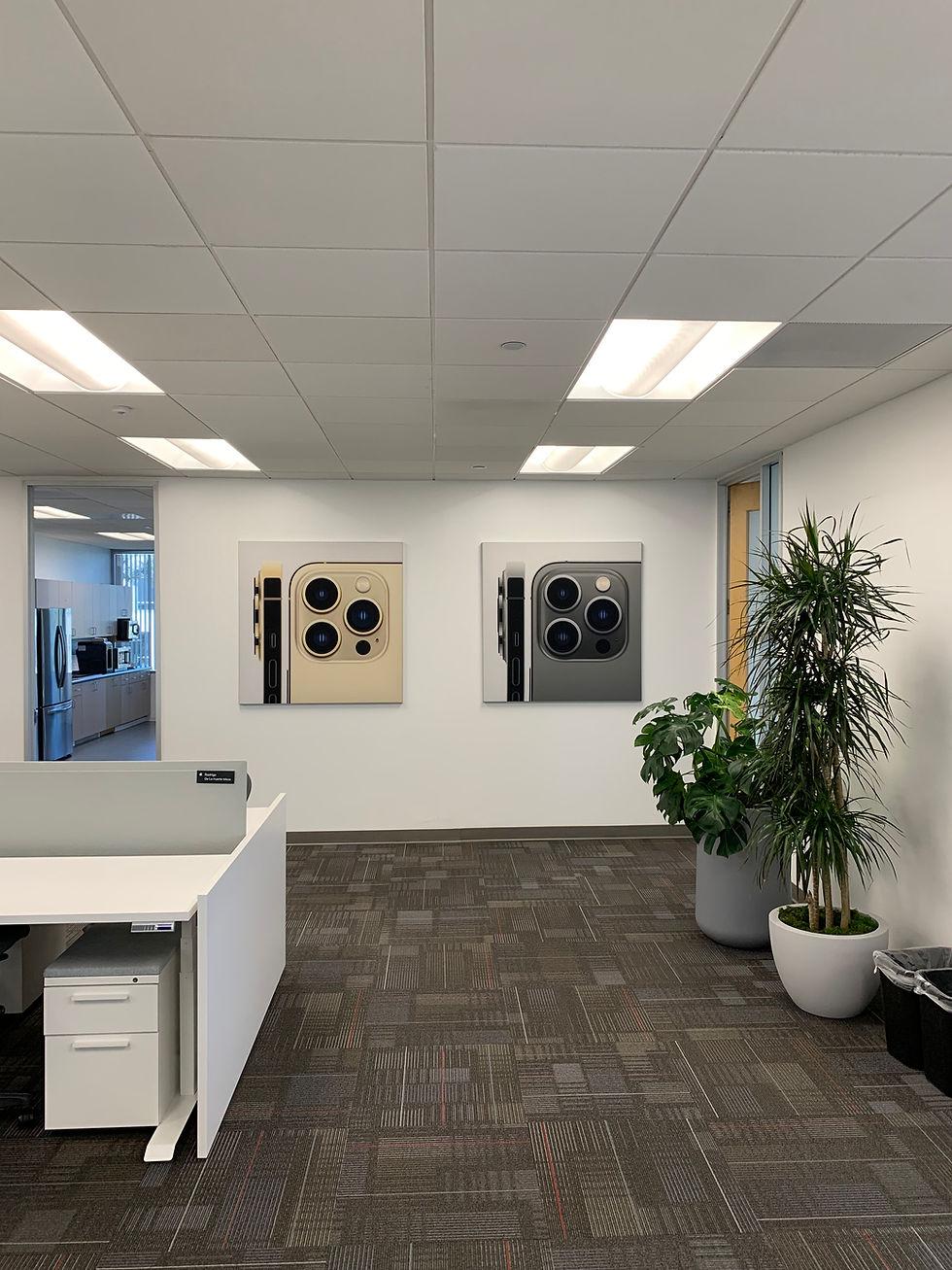 custom framed posters hung in a office space