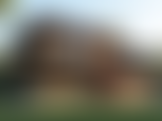 Transformative FLW Concepts That Revolutionized Architecture and Design