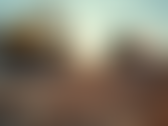 Finding the Best Local Construction Services Near You