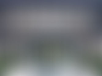 Entertaining Garden Design for Memorable Outdoor Gatherings