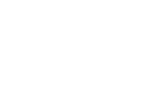 FINAL pattern white (1).png