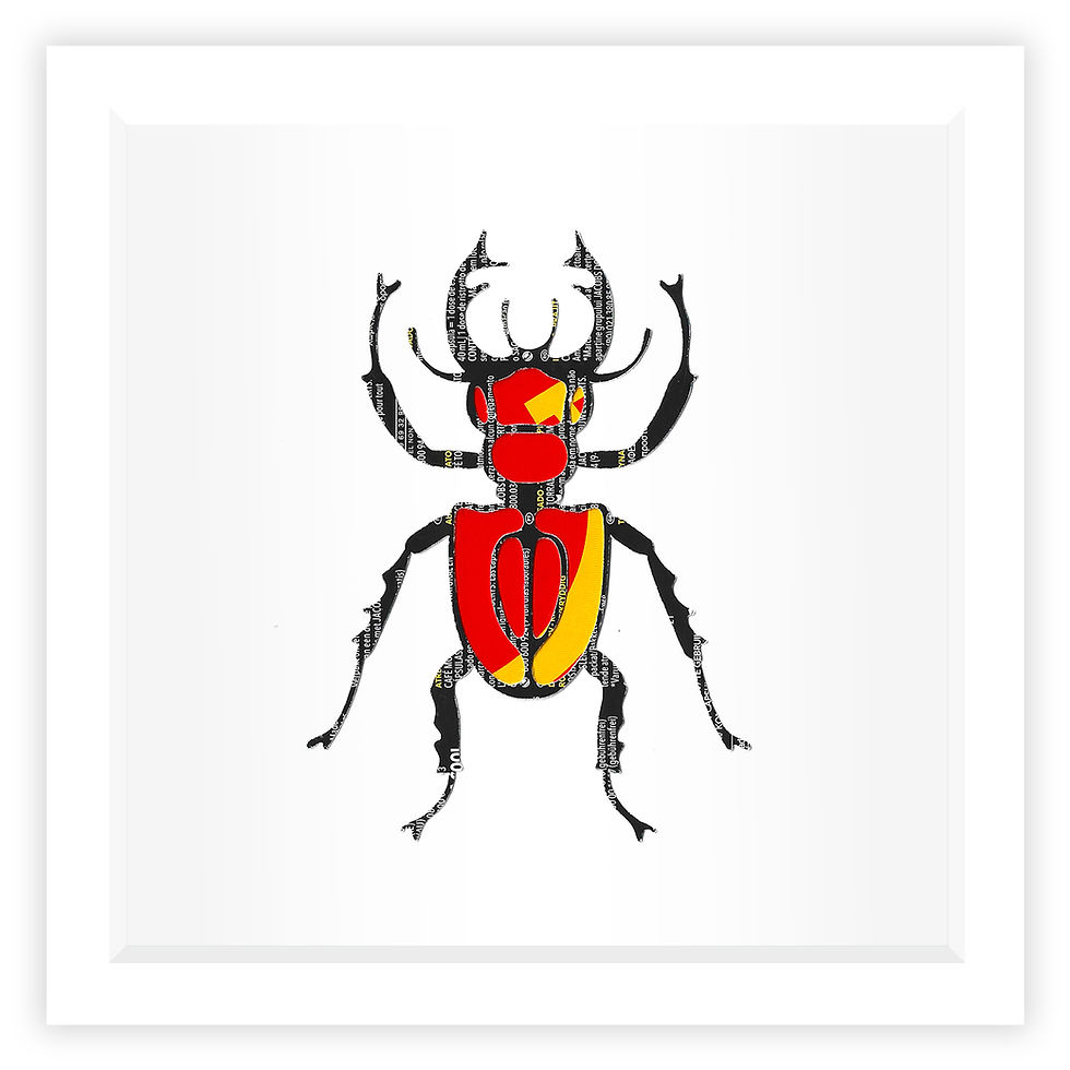 Luke Newton Art Collage Stag Beetle Collage 3-12