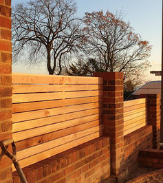 Cedar fence.jpg