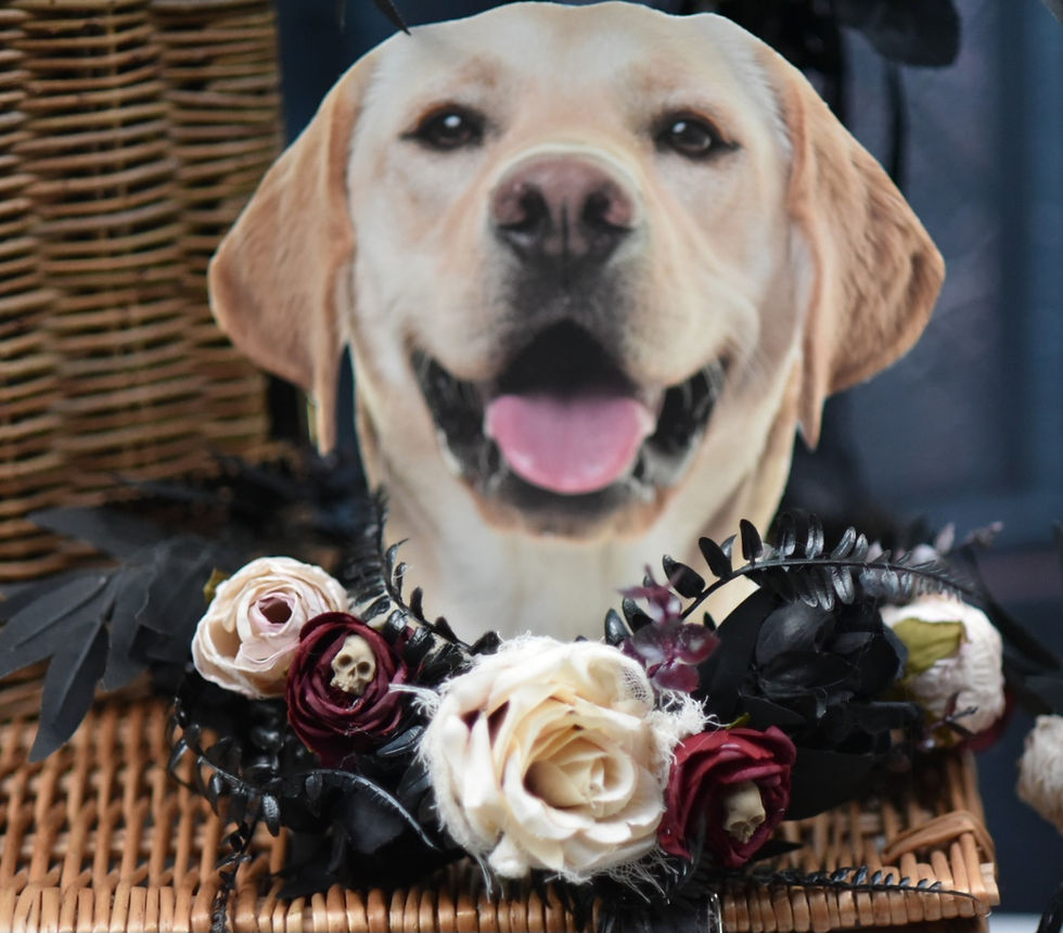 Miniatyrbilde: Tatiana Rose Alternative Wedding Flower Range