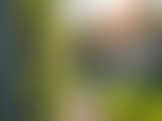 Bursa Hasır Tel Çözümleri: Hasır Tel Çitlerin Dayanıklılığı ve Estetiği