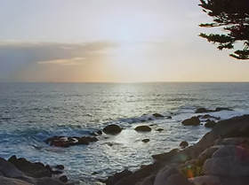 Shoreline.png