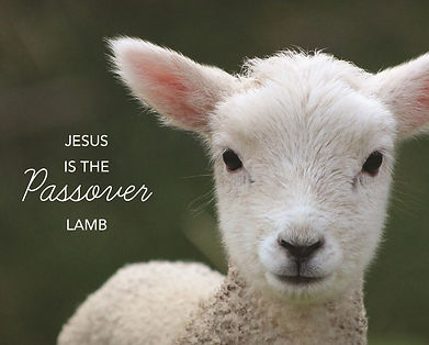 Jesus - The Passover Lamb.jpg
