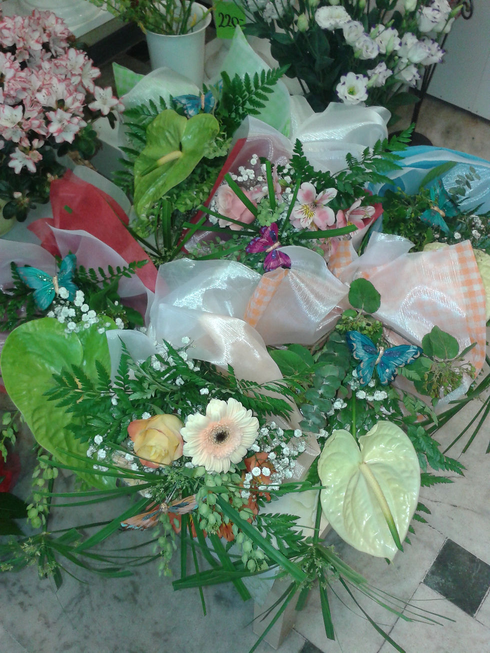 20150517_074918.jpg