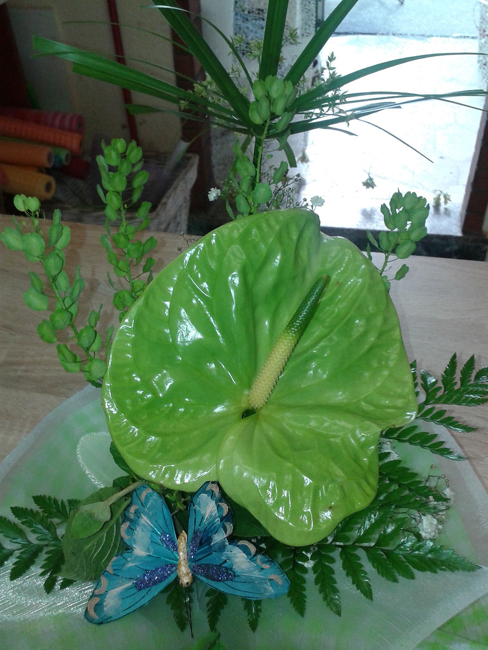 20150517_074939.jpg