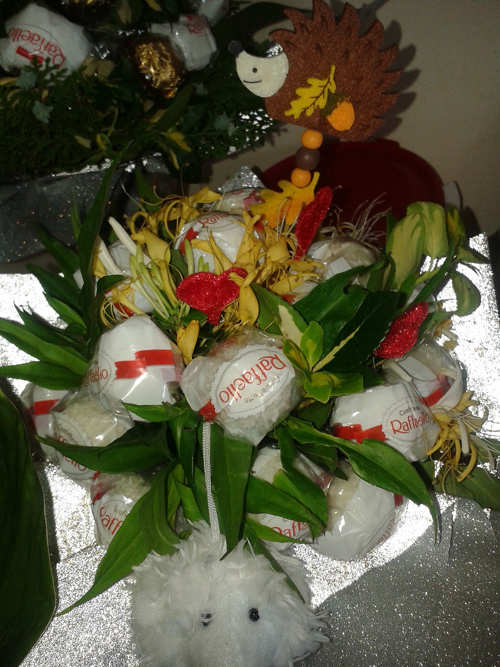20150605_093554.jpg
