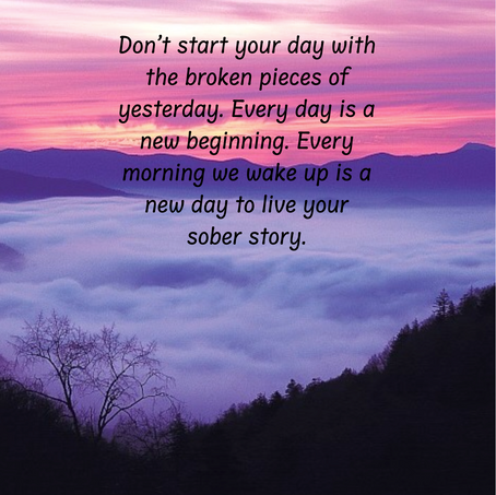 Hare and Tortoise: The Aftermath