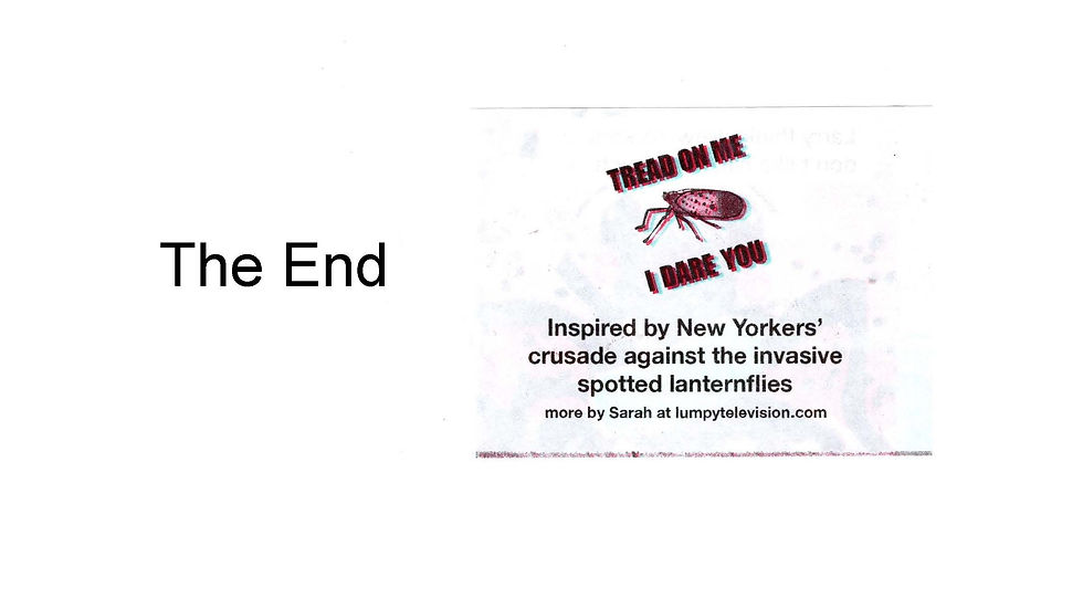 LarrytheLanternfly_Page_09