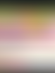 Excel ablösen: Vom Schatten-ERP zum sicheren 3-Schichten-Modell