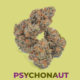 Bio Diesel x Future X