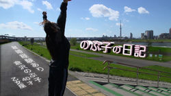 のぶ子の日記