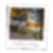 TimberlaneCottages (1).png