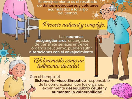 ¿Que tanta violencia reciben las personas mayores?