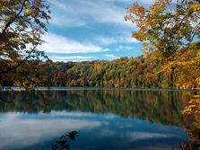 Doing Nothing is Doing Something