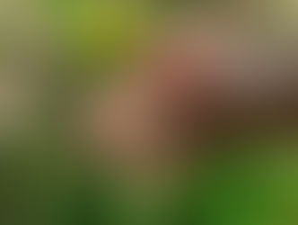 True Acts of Kindness