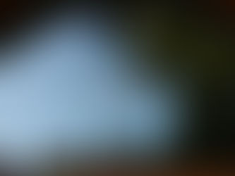 house number "110" mounted on what appears to be the white gable/peak of a house. The photo is taken from inside a vehicle, showing the reflection of trees in what seems to be the car's window or windshield. The architectural detail shows the house has a pitched roof with chimneys visible below the gable.