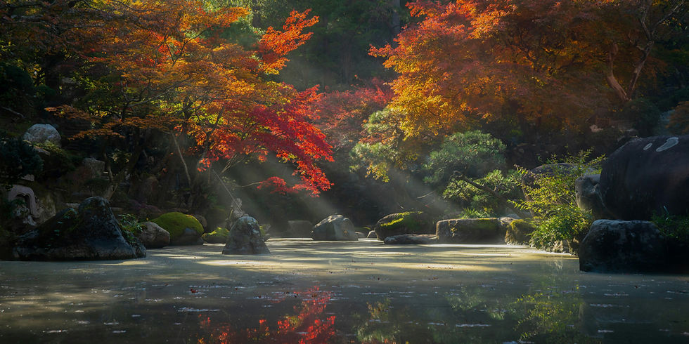 Sunlight filters through vibrant red and orange autumn trees, reflecting on a tranquil pond surrounded by rocks in a serene forest setting.