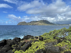 The rugged Kauai coastline featuring jagged black lava rocks and bright green succulents, framed against the restless, deep blue ocean and distant misty mountains.