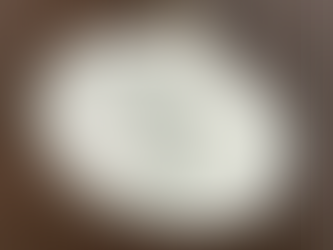 Close-up of a smooth, ceramic keepsake ornament from the Stone Hill Inn in Stowe, Vermont, featuring elegant green cursive lettering and delicate maple leaf details that evoke warm hospitality.