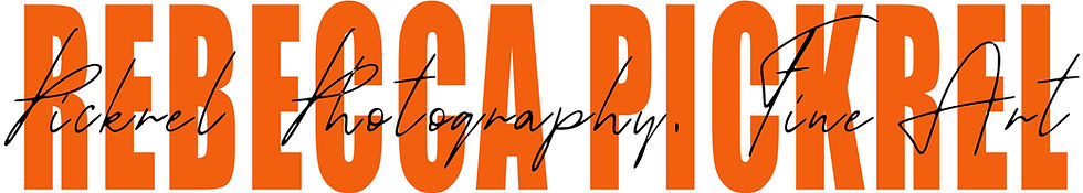 Pickrel Art logo _ banner_edited.jpg