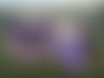 2024.7.6| 灣區慶回歸禁毒足球賽暨「大灣區禁毒體育競賽」。