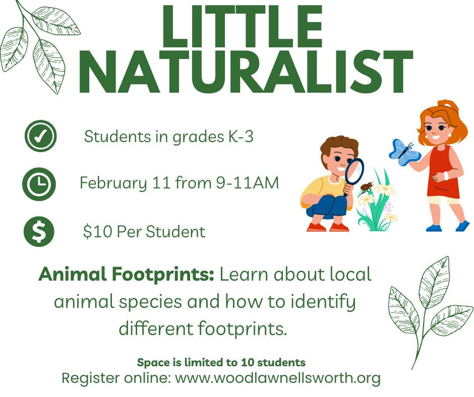 Little Naturalist - Animal Footprints
