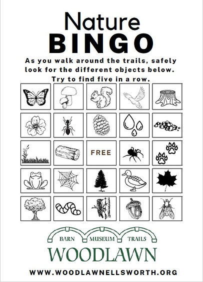 Nature Bingo Photo.jpg