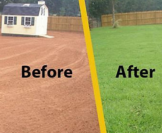 Hydroseed Before and After