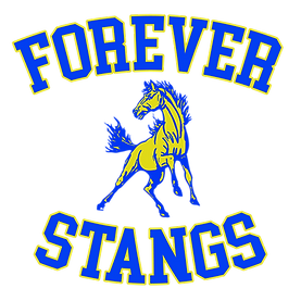 Logo-Stangs.png