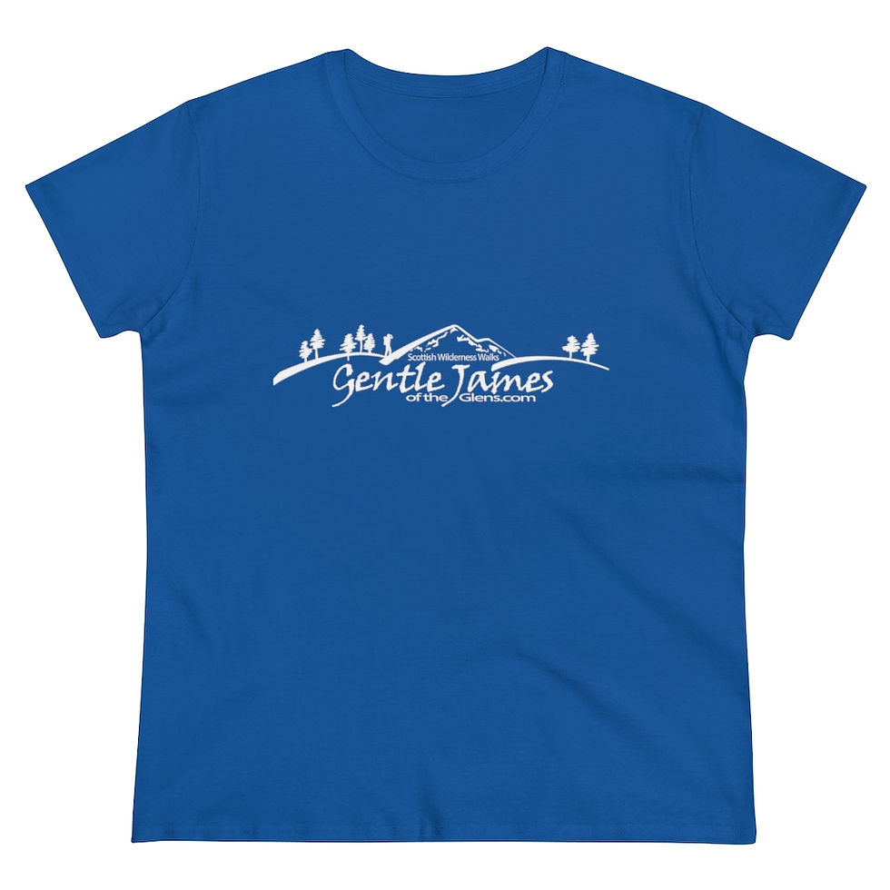Thumbnail: Women's Heavy Gentle James Cotton Tee