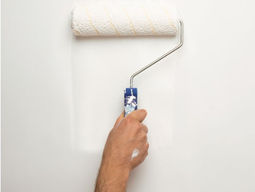 Clubhouse Painting Schedule