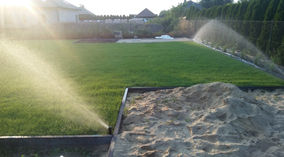 trawa z rolki Poznań, Leszno, Wrocław i okolice