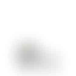 Standard Weight Stones