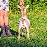 PXL_20240515_224308195.PORTRAIT.ORIGINAL.jpg