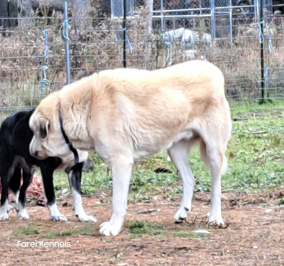 Screenshot 2025-10-20 12.53.55 PM