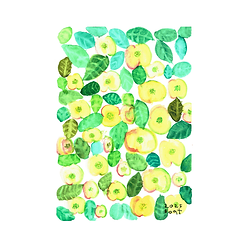 TP170 โป๊ยเซียนน้อย.png