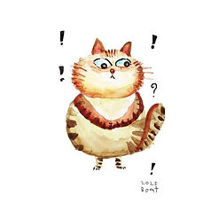 TP166 แมวพุงกลม.jpg
