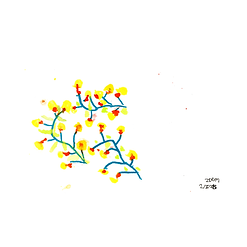 ZM064 ดอกไม้ในฤดูใบไม้ผลิ.png