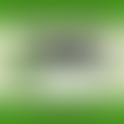 WSRC - Turkey Shoot November 18-19, 2023