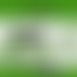 WSRC Fall Classic - September 6-8, 2024