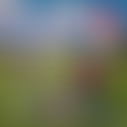 Save the dates for the 2026 IL State Championship Series