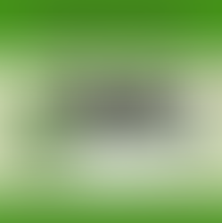 World Shooting & Recreational Center Spring Classic - April 11-12 2026