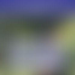 Jacksonville Sportsman's Club 12 and 20 gauge March 29 2026