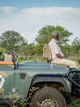 kambaku-safari-drive.jpeg