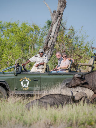 kambaku-safari-drive-2.jpeg
