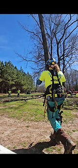 tree care workers before falling a large tree
